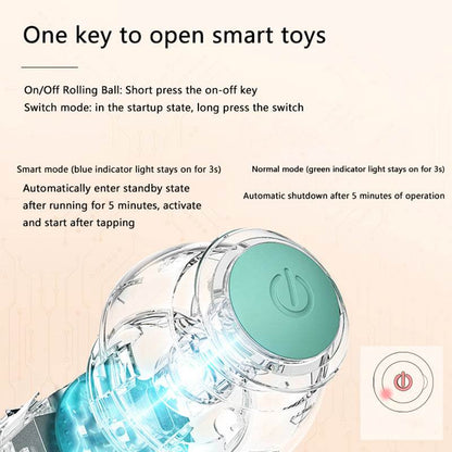 Interactive Cat Ball automatic rolling toy